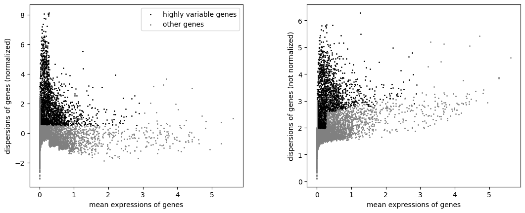 Highly variable genes. 