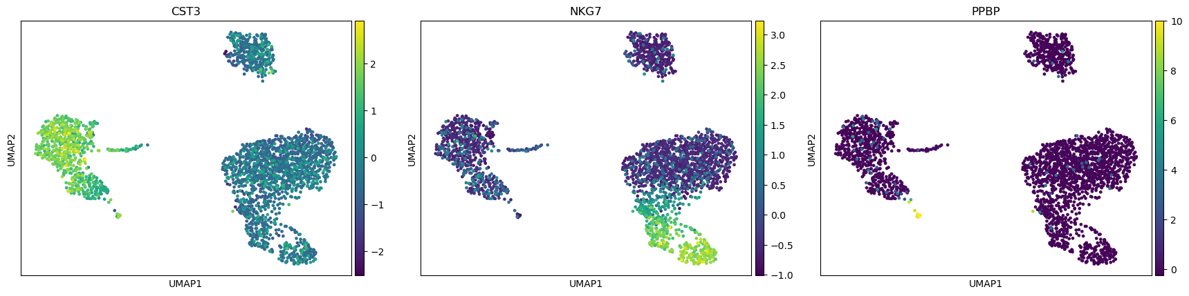 UMAP coordinates before clustering. 