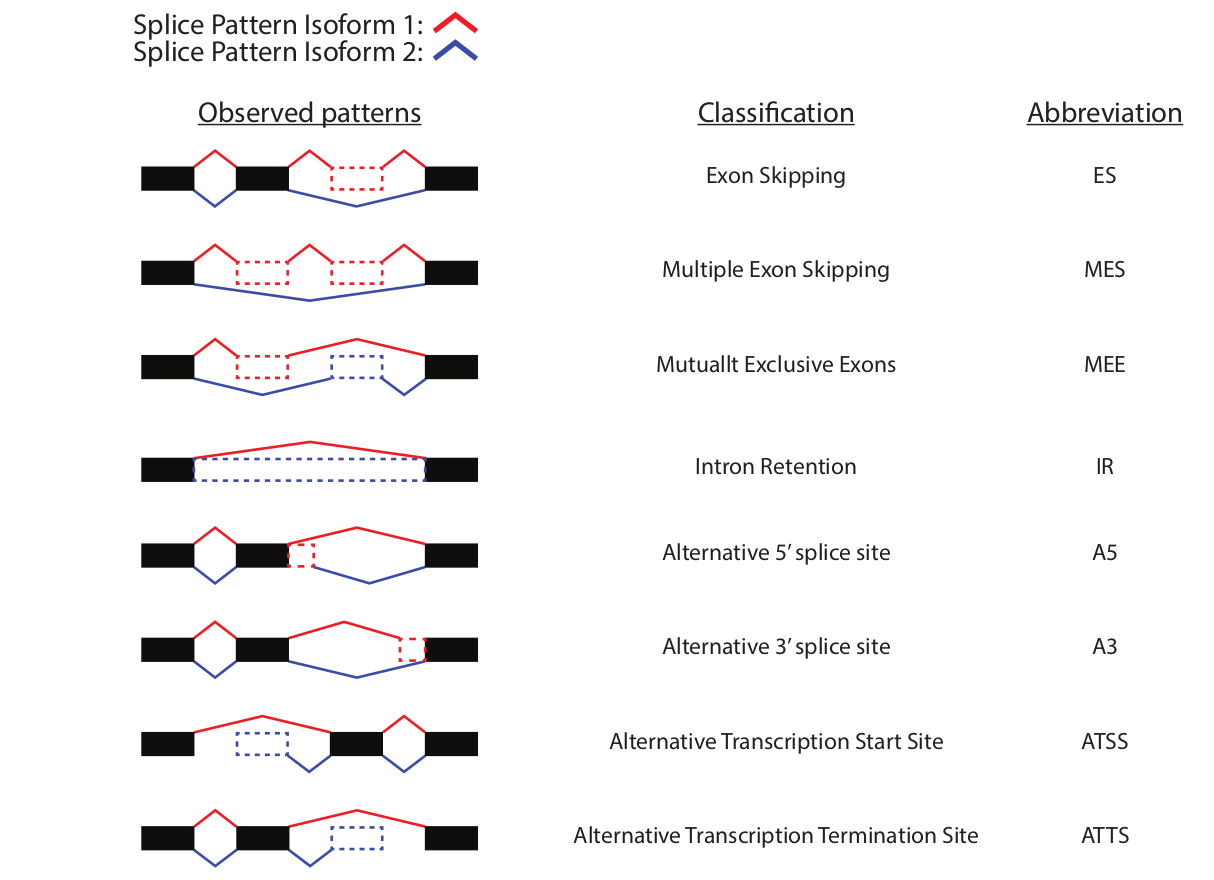 Figure 16. Classification of splicing patterns. 