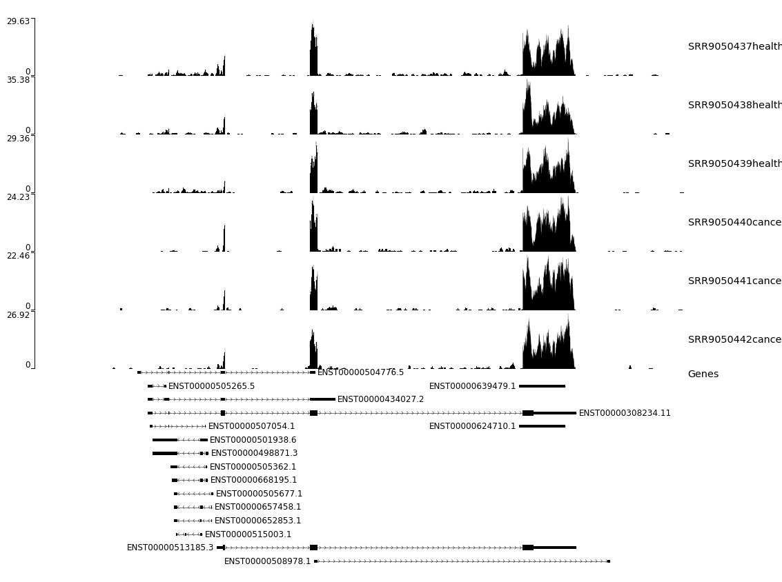 Figure 14. RGMB gene isoform expression profile plot. 